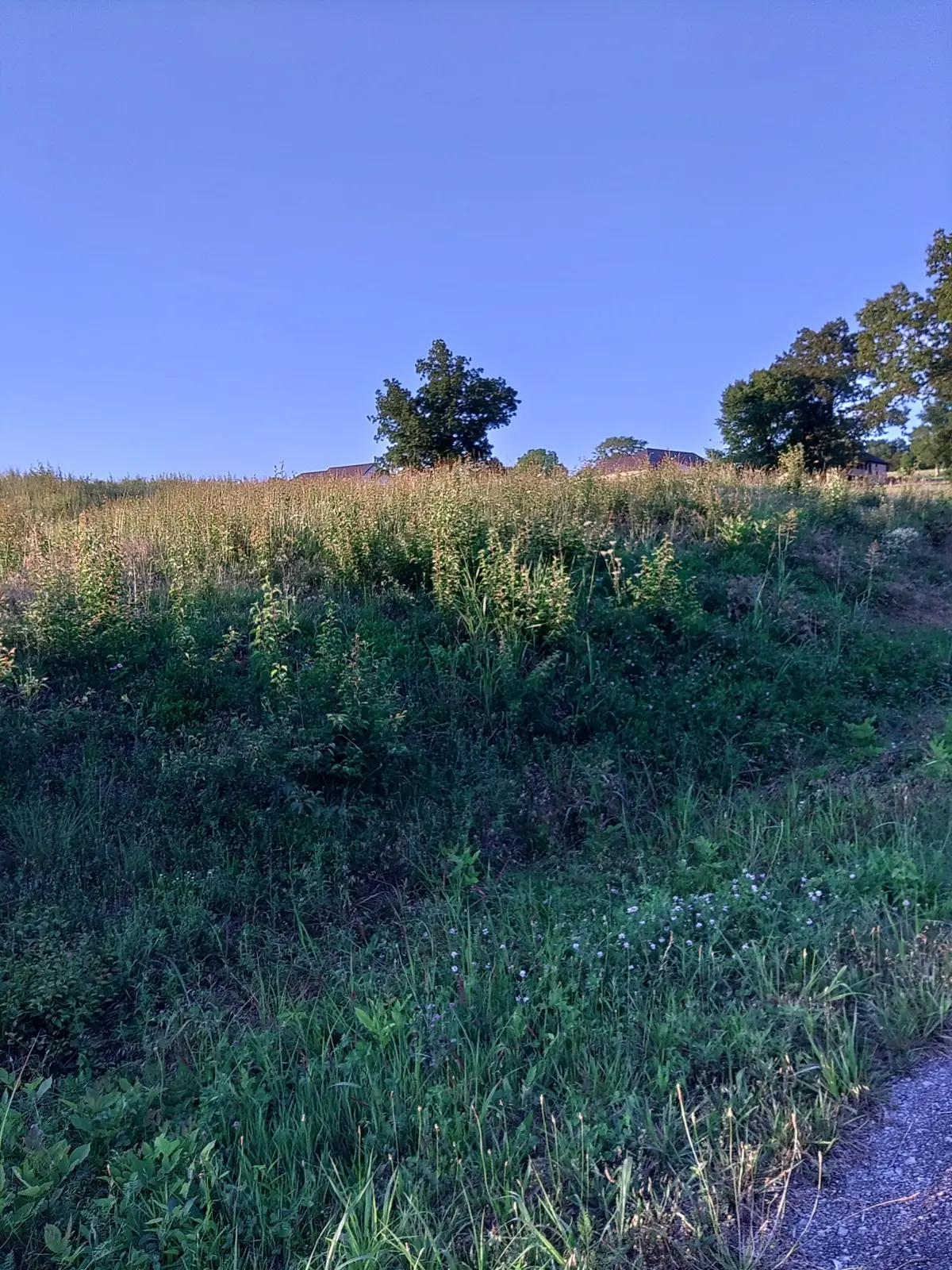 0 Collins Run, McMinnville, TN 37110 - #1