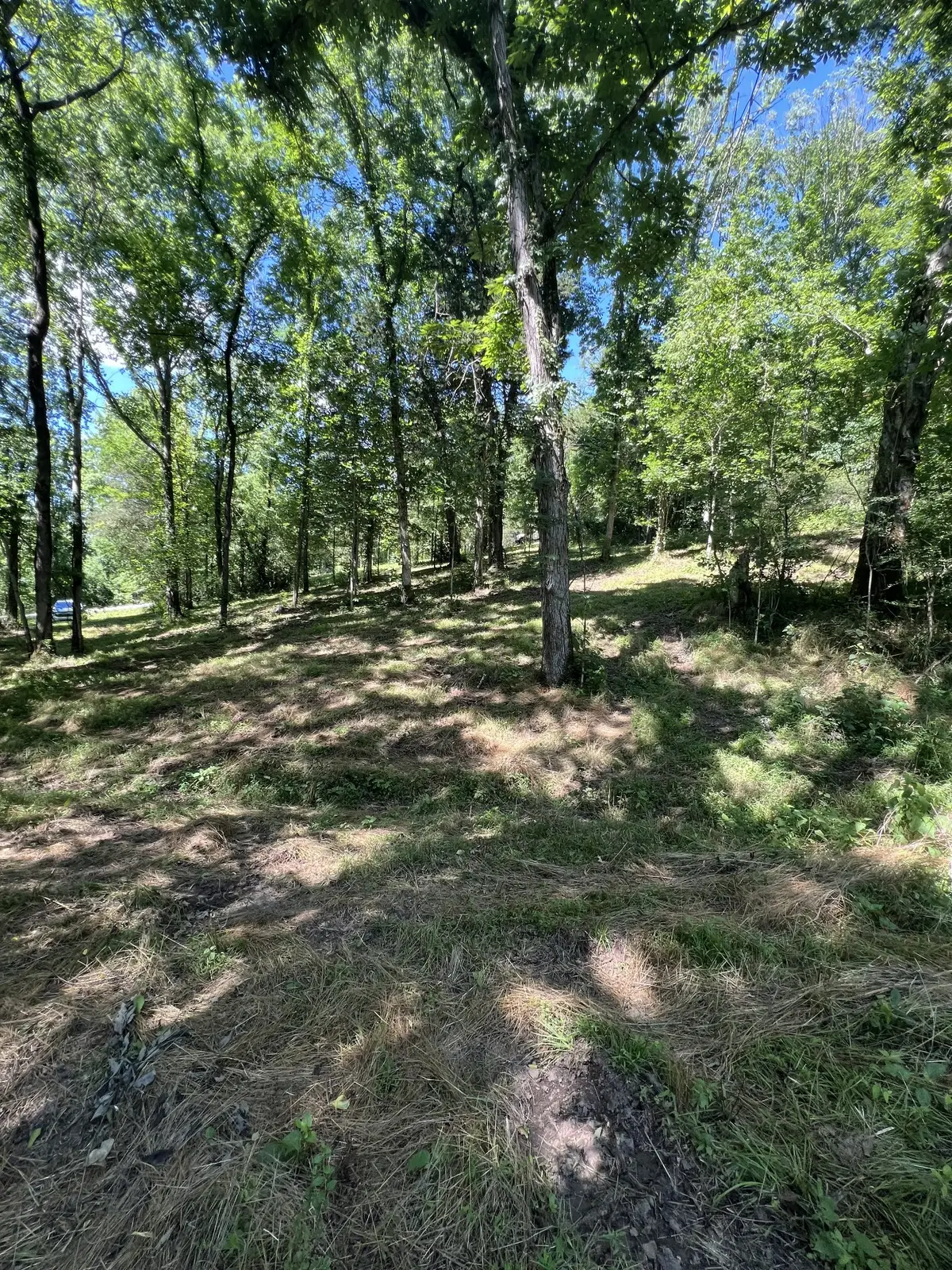 0 Horseshoe Bend Ln, Elmwood, TN 38560 - #1