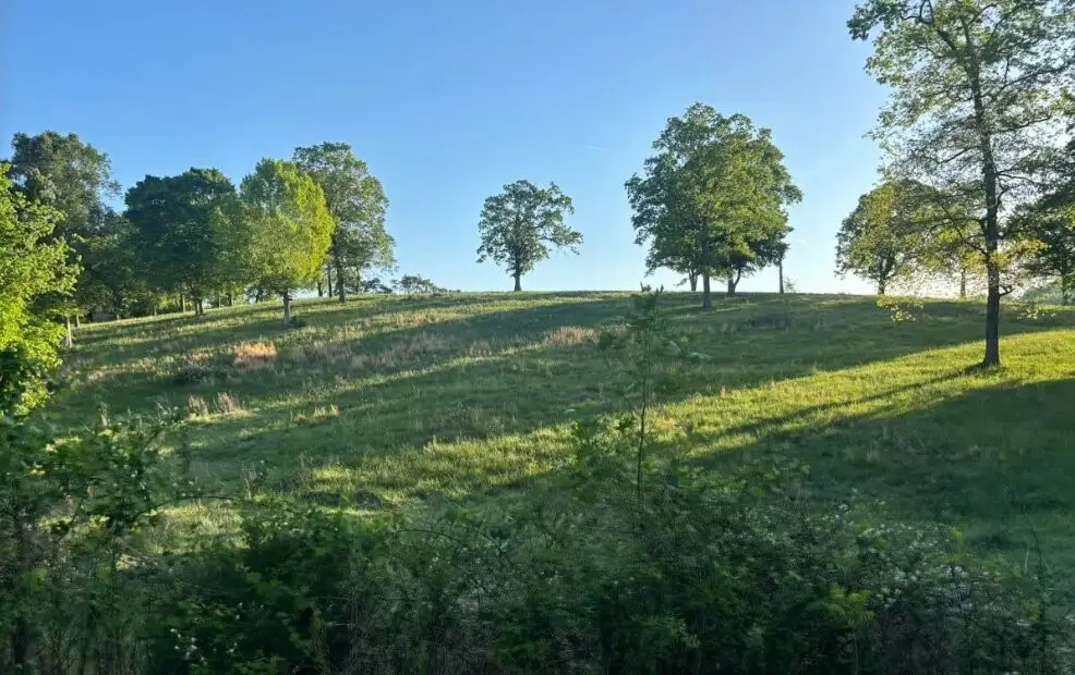 135 Louise Creek Rd, Cumberland Furnace, TN 37051 - #1