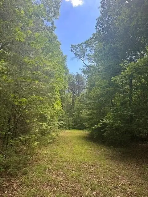 43 Bluffs Woods, Altamont, TN 37301 - #1