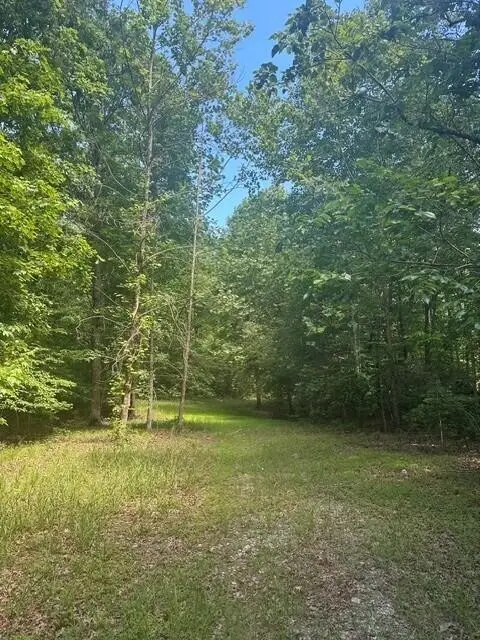 43 Bluffs Woods, Altamont, TN 37301 - #2