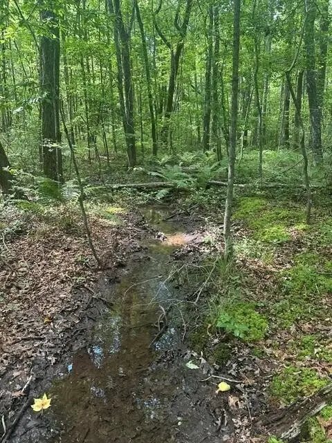 43 Bluffs Woods, Altamont, TN 37301 - #3