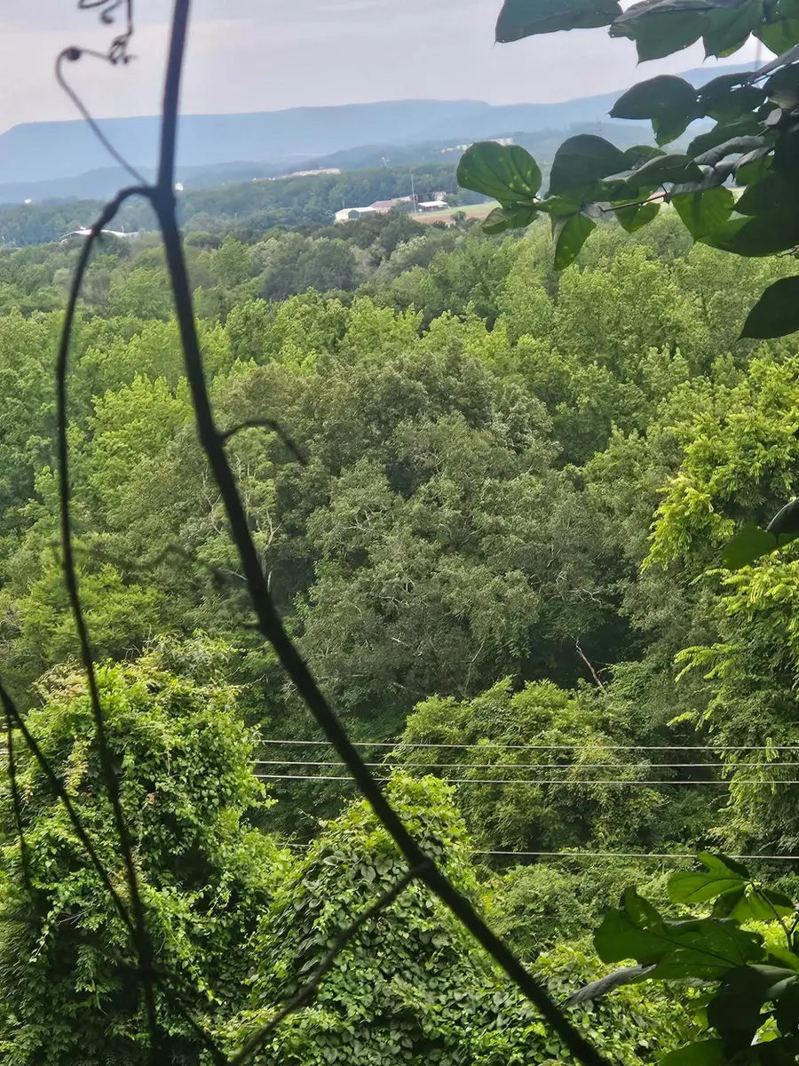0 Old Jasper Road, South Pittsburg, TN 37380 - #2