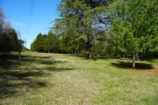 6790 Flat Creek Rd, College Grove, TN 37046 - #1