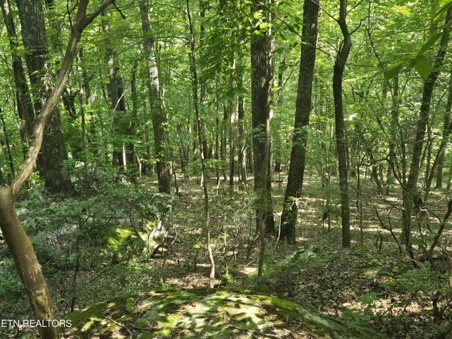 16 Trentwood Terrace, Crossville, TN 38558 - #3