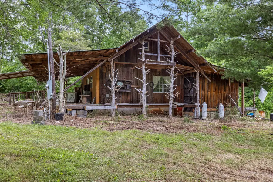 244 Luminary Firetower Road, Spring City, TN 37381 - #3