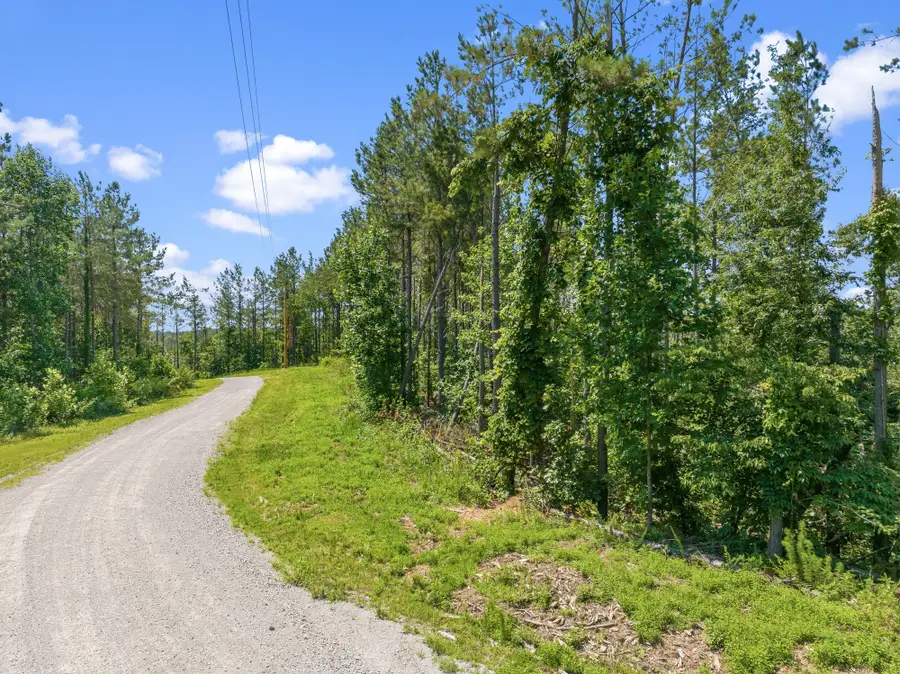 310 Highland Dr, Linden, TN 37096 - #2