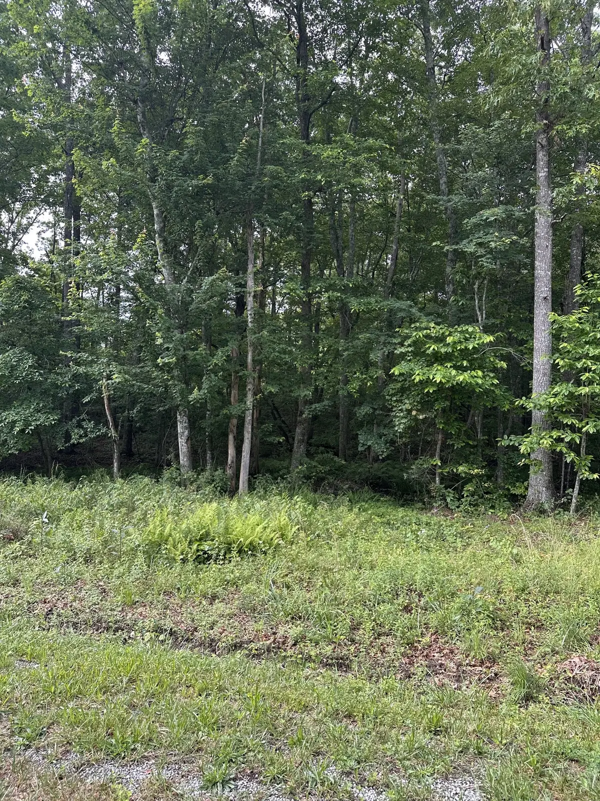 3031 Shawnee Rd, Crossville, TN 38572 - #1