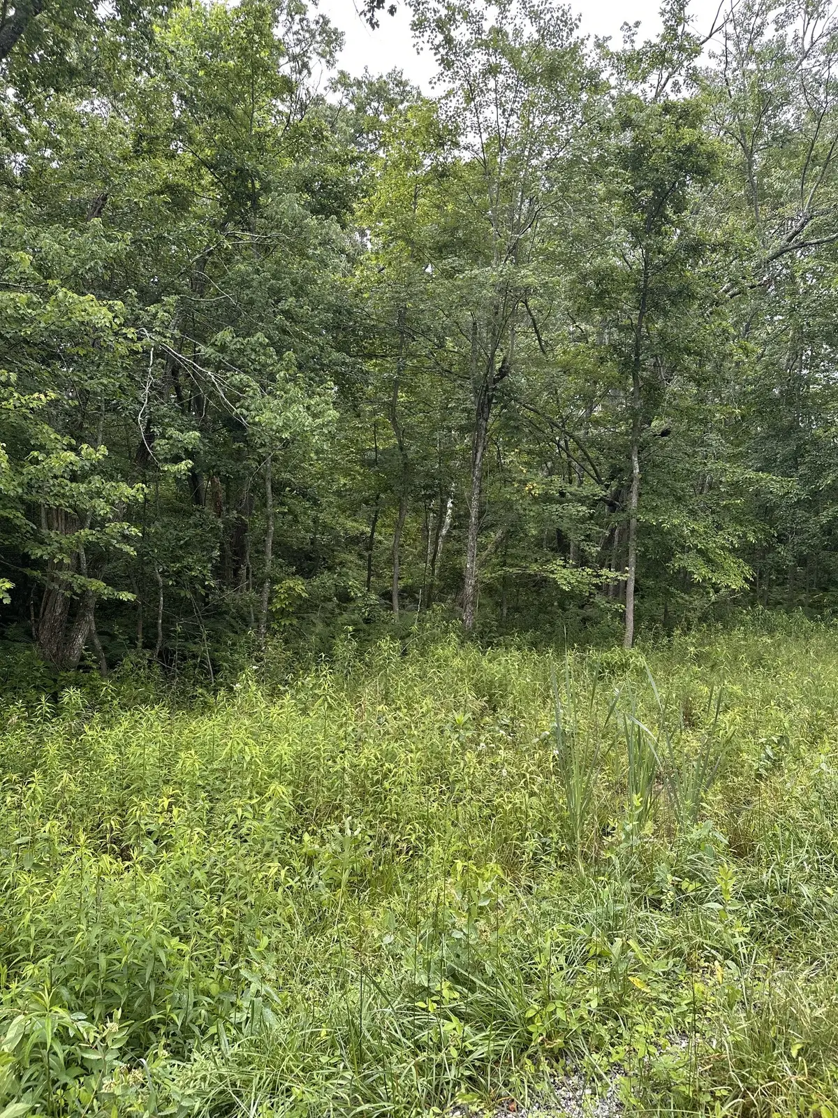 3119 Crow Dr, Crossville, TN 38572 - #1