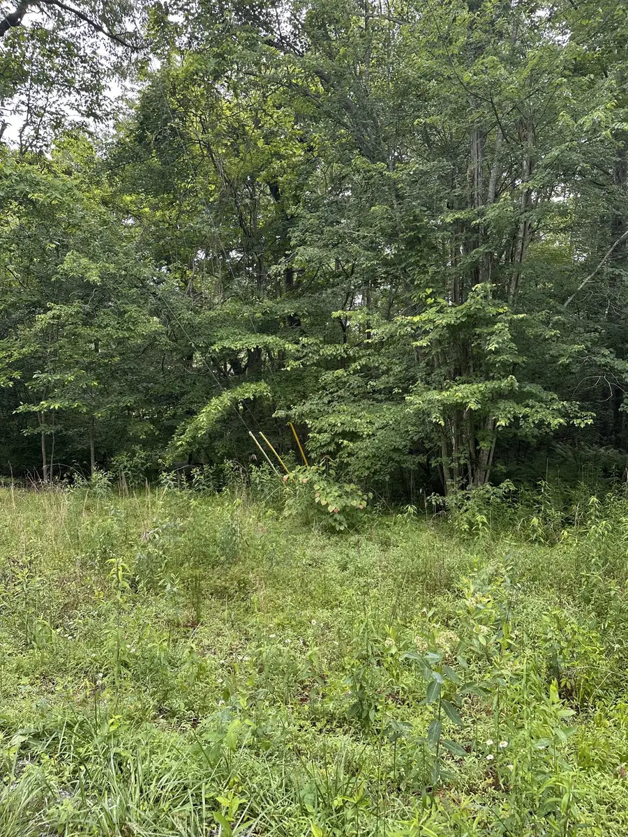 3119 Crow Dr, Crossville, TN 38572 - #2