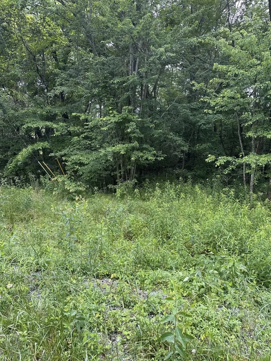 3119 Crow Dr, Crossville, TN 38572 - #3
