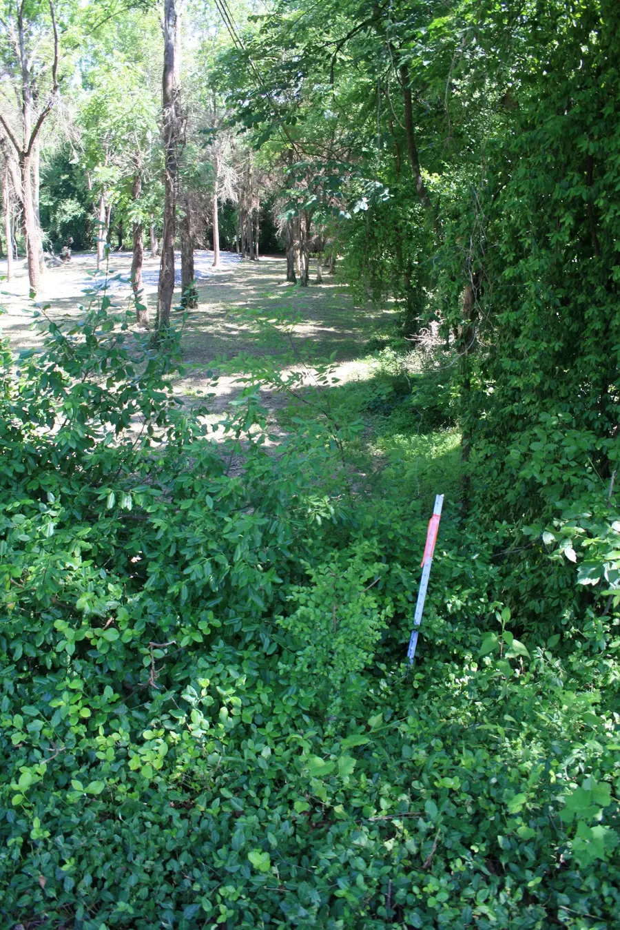 0 Hwy 82 E, Bell Buckle, TN 37020 - #3