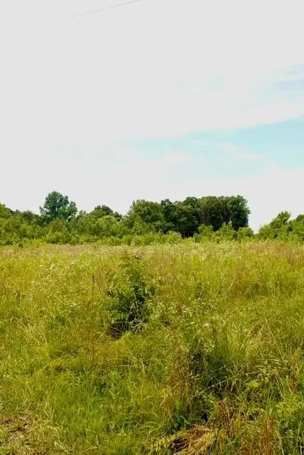 482 Friendship Lane, Delano, TN 37325 - #1