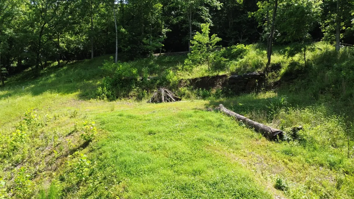 11 Bay Dr, Lancaster, TN 38569 - #1