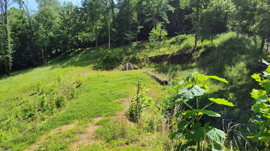11 Bay Dr, Lancaster, TN 38569 - #2