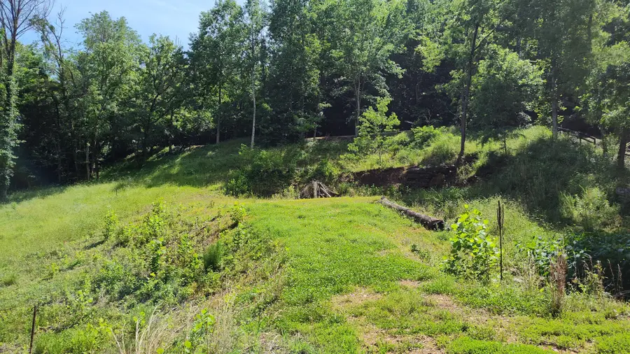 11 Bay Dr, Lancaster, TN 38569 - #3