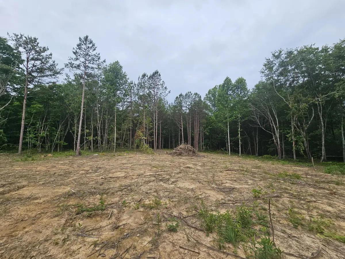229 Windstone Drive, Tracy City, TN 37387 - #1