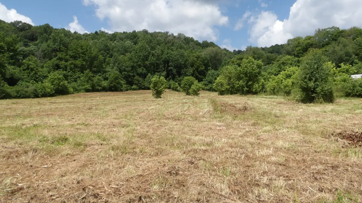 0 Lonnie Reecer Rd, Celina, TN 38551 - #1
