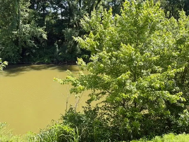 1101 W Jackson St, Shelbyville, TN 37160 - #2