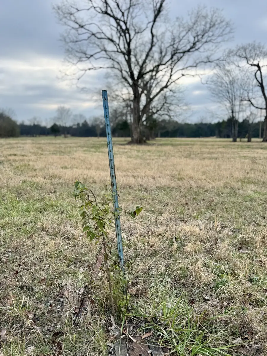 0 Vesta Road, Lebanon, TN 37090 - #3