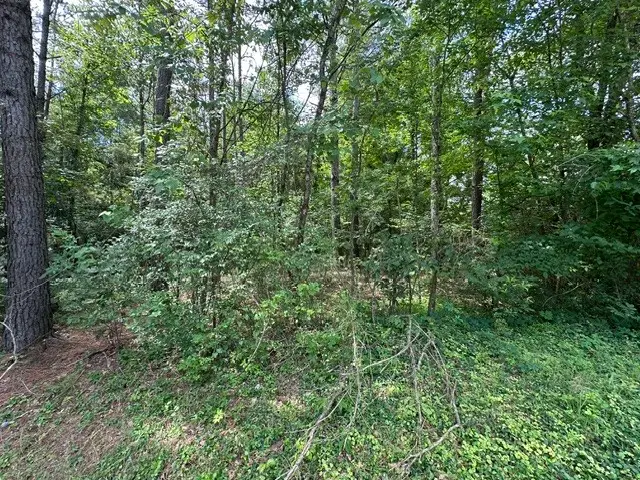 0 Stigall St, Camden, TN 38320 - #3