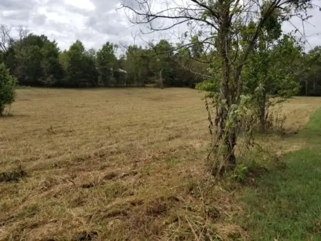0 Harsh Ln, Castalian Springs, TN 37031 - #3