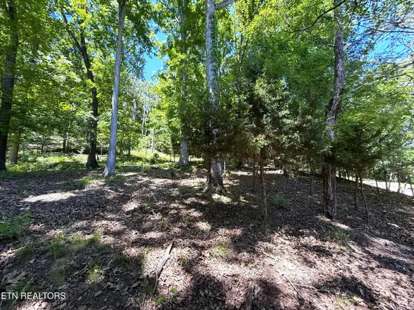 0 Harbor View, Mooresburg, TN 37811