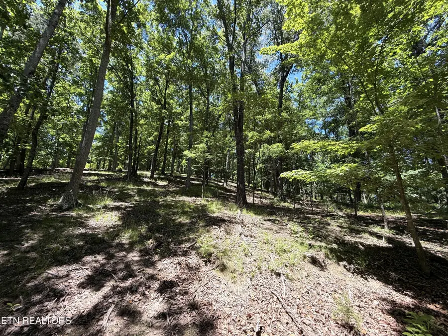 0 Harbor View, Mooresburg, TN 37811 - #3