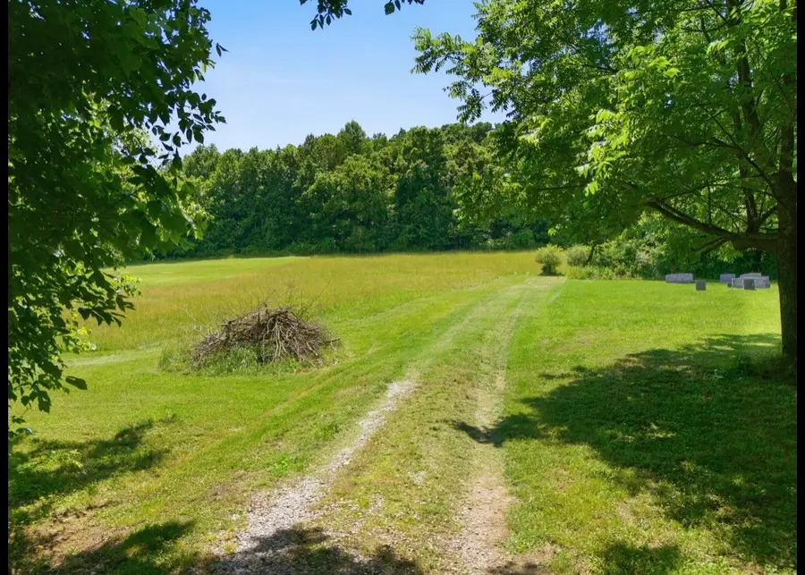 17 Dog Branch Rd S, Pleasant Shade, TN 37145 - #2