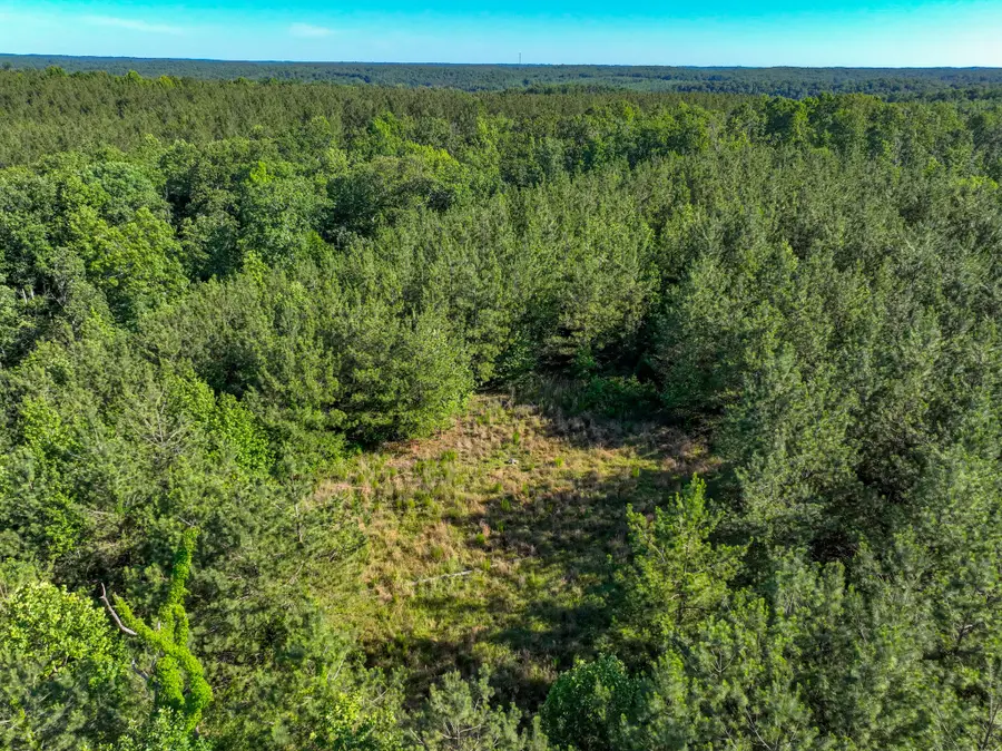 0 White Oak Rd, Stewart, TN 37175 - #2