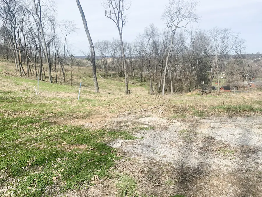 17 Alpine Dr, Columbia, TN 38401 - #2