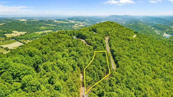209 Clinch View Road, New Tazewell, TN 37825
