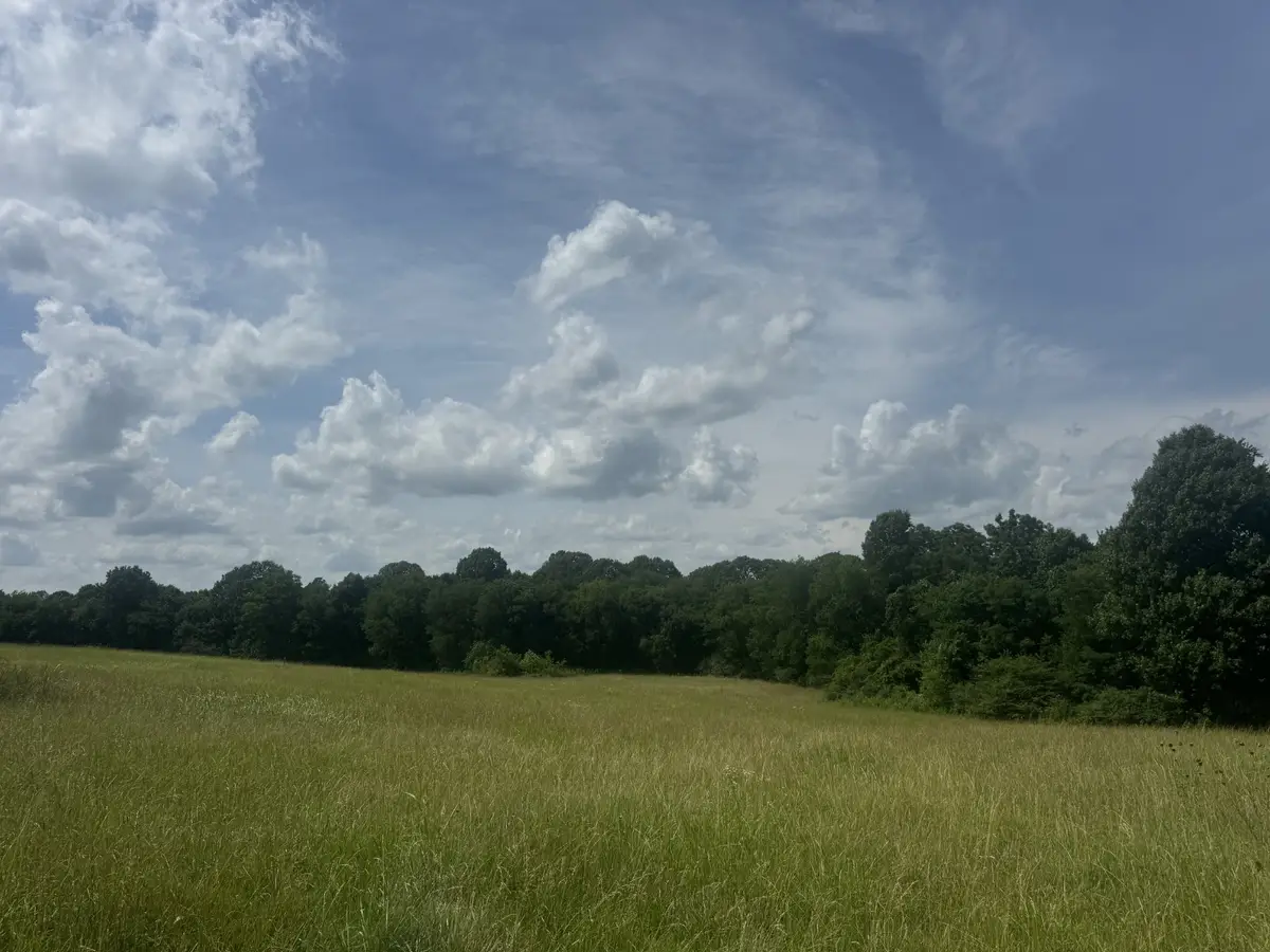210 Wheel Rd, Shelbyville, TN 37160 - #1
