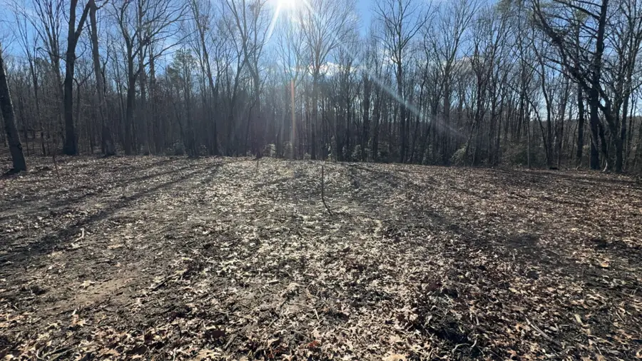 1 Flat Branch Rd, Tracy City, TN 37387 - #2