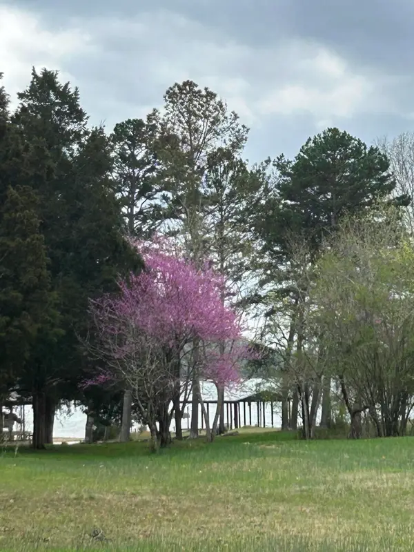 0 Pin Hook Road, Spring City, TN 37381