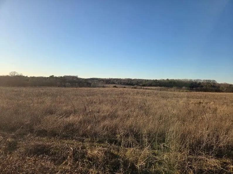 5 Stone Road, Benton, TN 37307 - #1