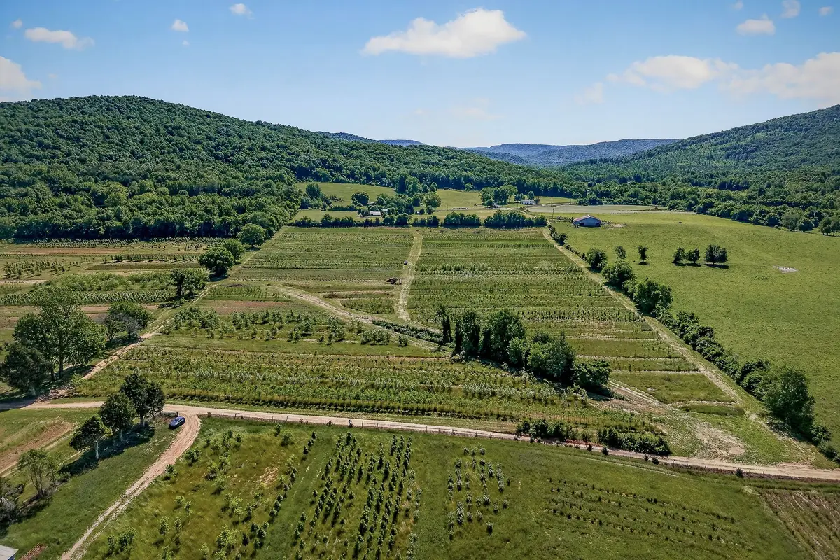 1 Hills Creek Rd, McMinnville, TN 37110 - #1