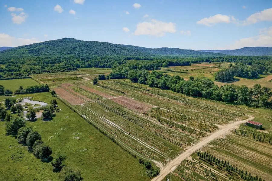2 Hills Creek Rd, McMinnville, TN 37110 - #2