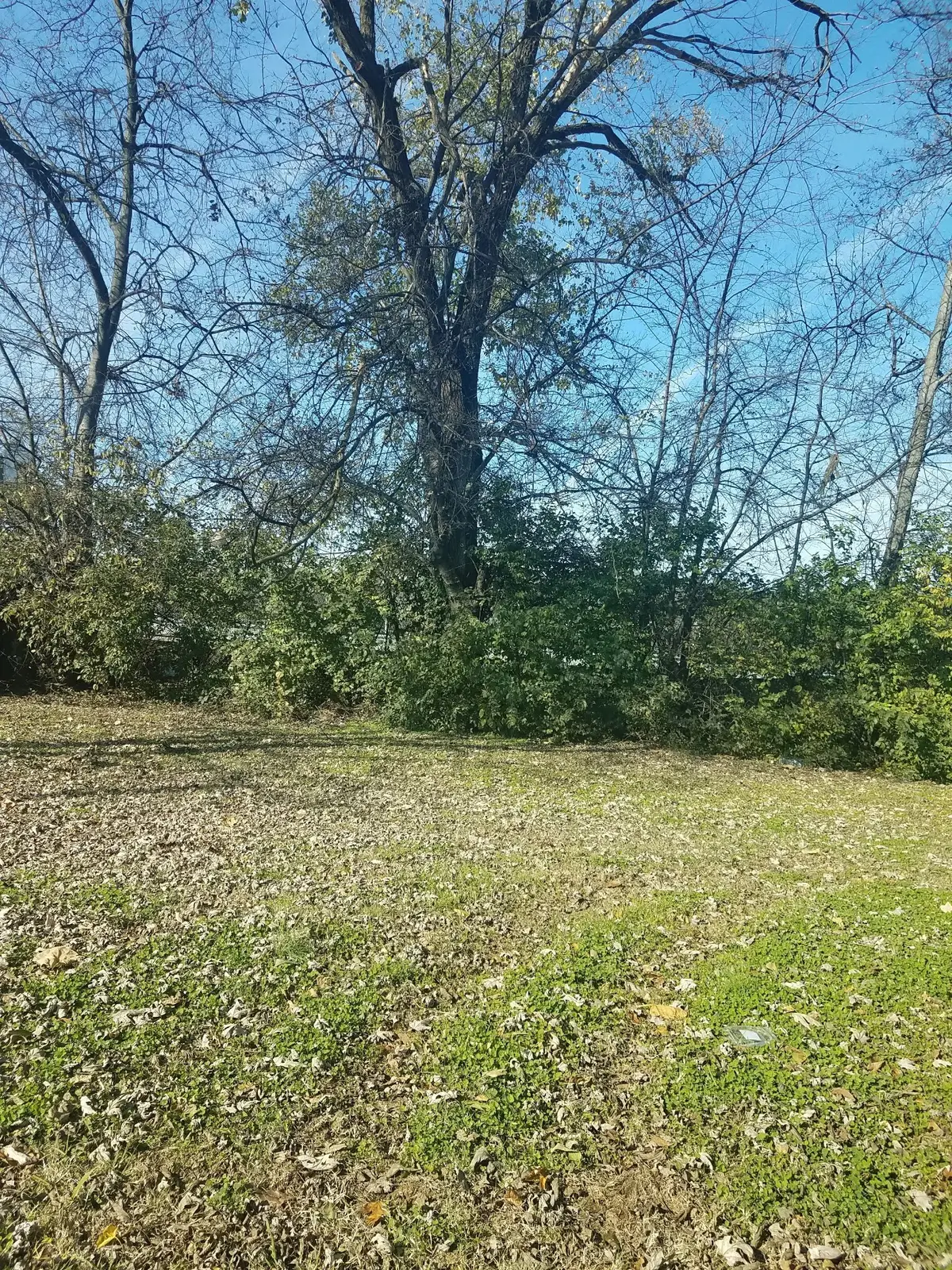 1817 7th Ave N, Nashville, TN 37208 - #1