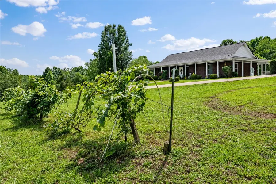 124 Napier Rd, Hohenwald, TN 38462 - #3