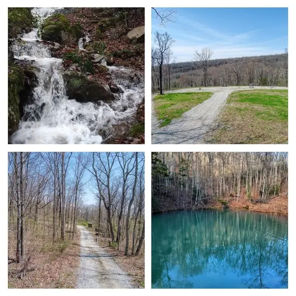 74 Black Cat Trl, Rockwood, TN 37854