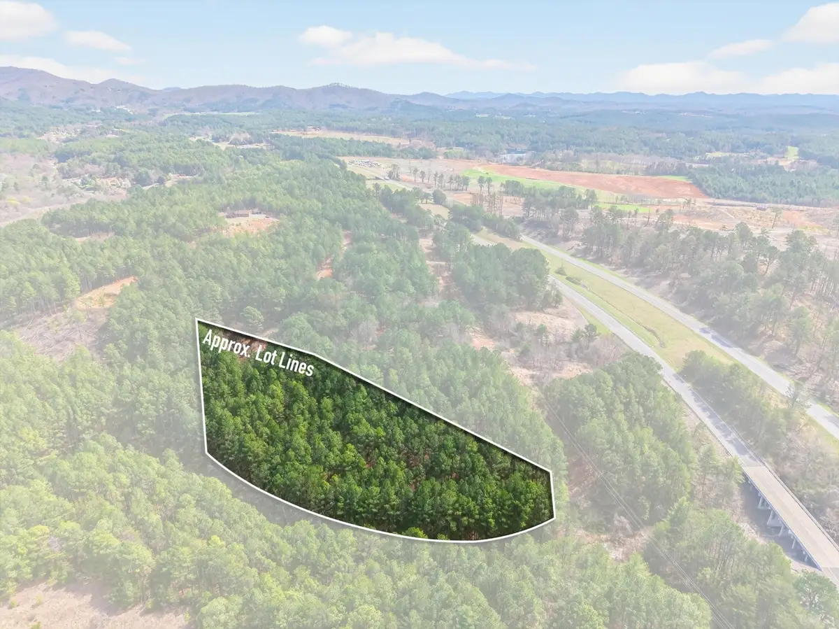 5333 Highway 64, Lot 4, Copperhill, TN 37317 - #1