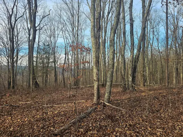 29003 Smith Mountain, Dunlap, TN 37327
