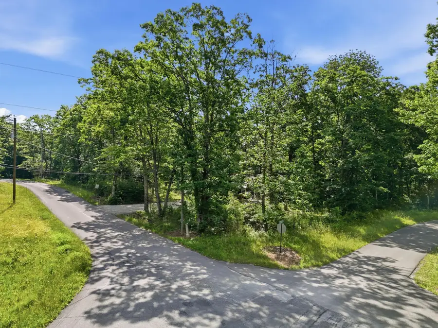 739 S Moore Road, Rising Fawn, GA 30738 - #3