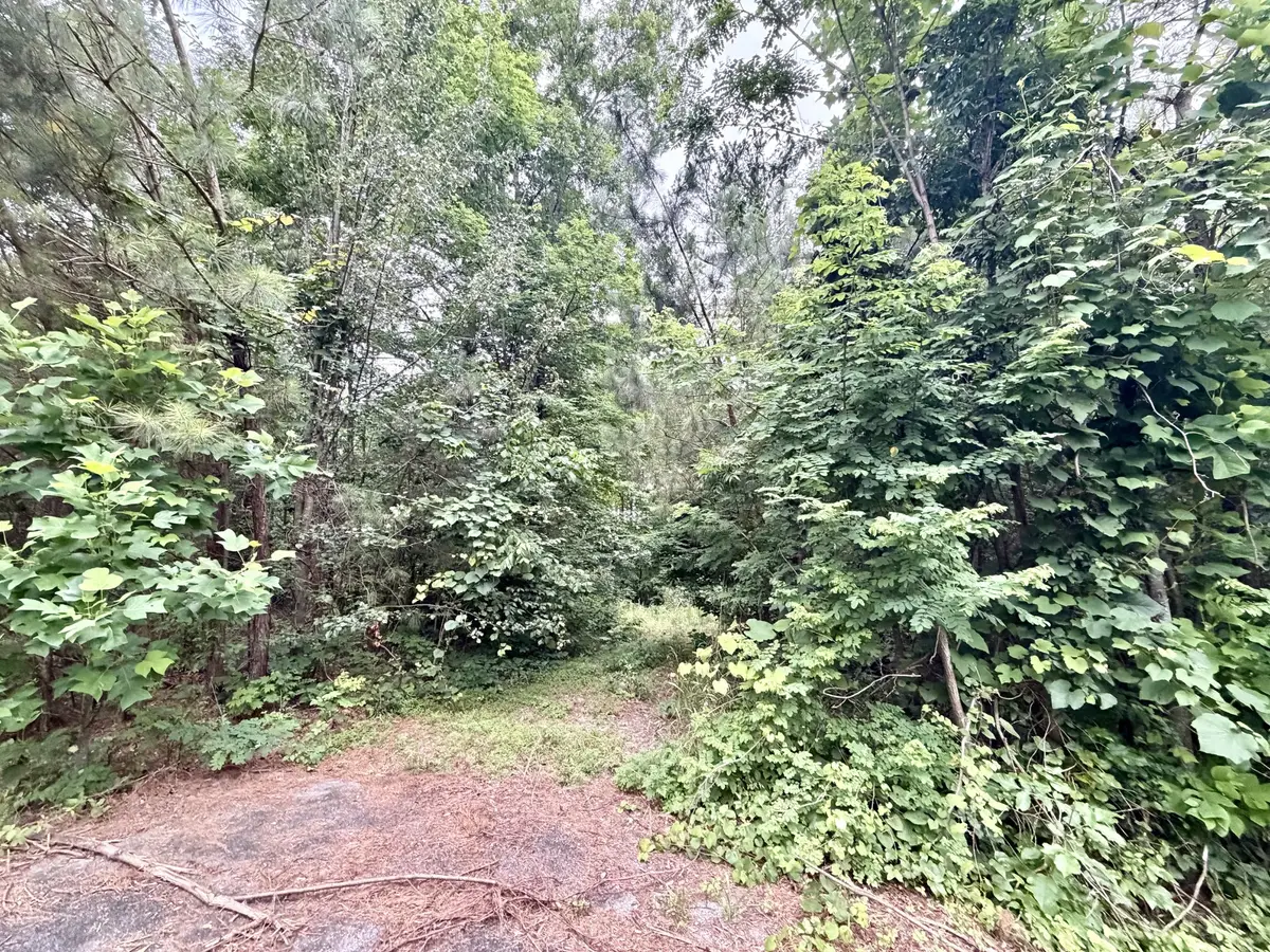 0 Cobbler Ridge Road, Franklin, TN 37064 - #1