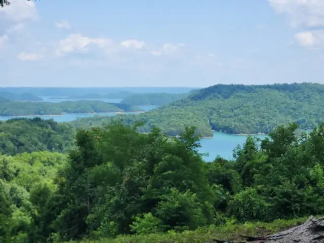 0 Rock Fish Rd E, Hilham, TN 38568 - #2