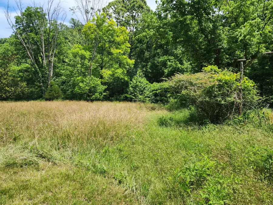 1 Scruggs Hollow Rd, Hartsville, TN 37074 - #3