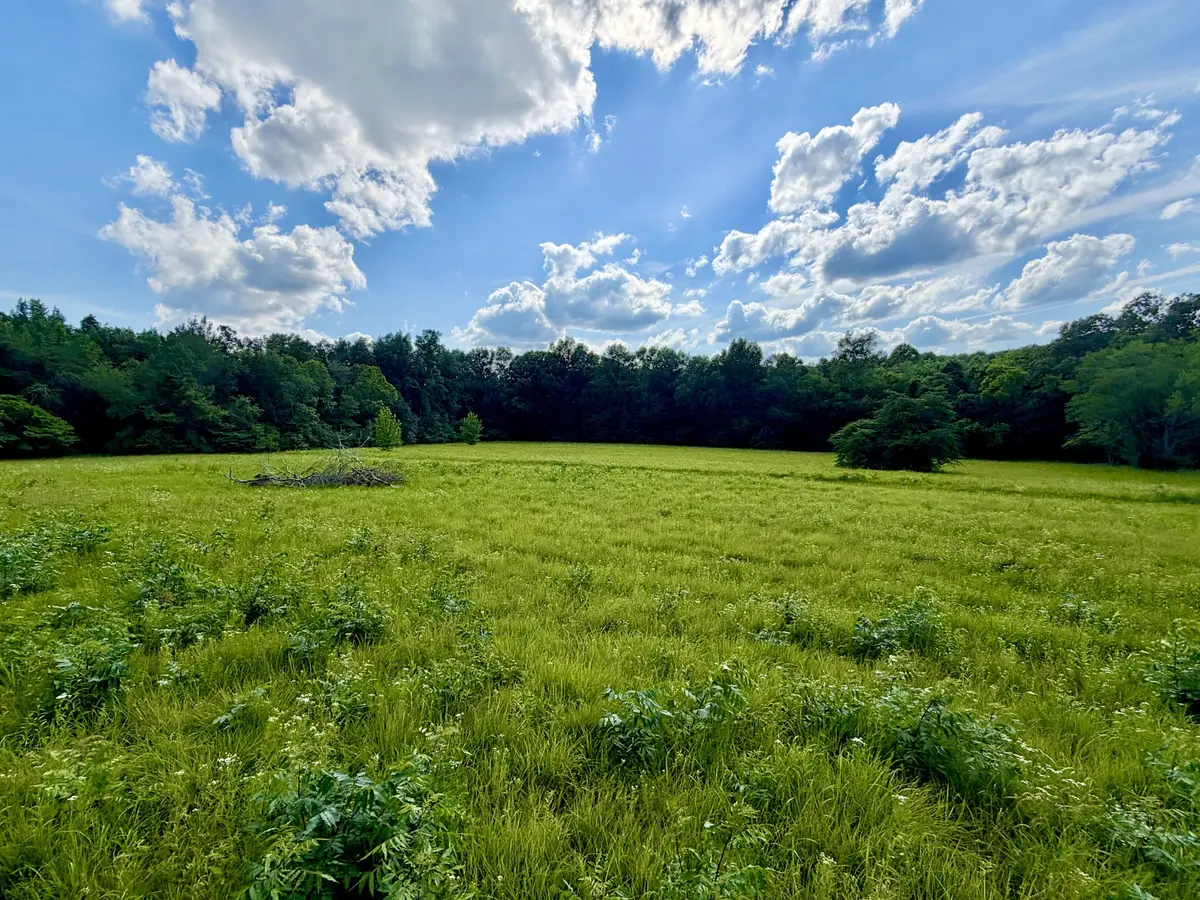 1251 Highway 96 N, Fairview, TN 37062 - #1