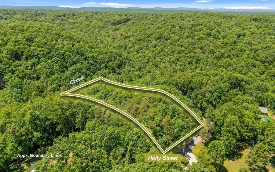 2 Holly Street, Signal Mountain, TN 37377 - #2