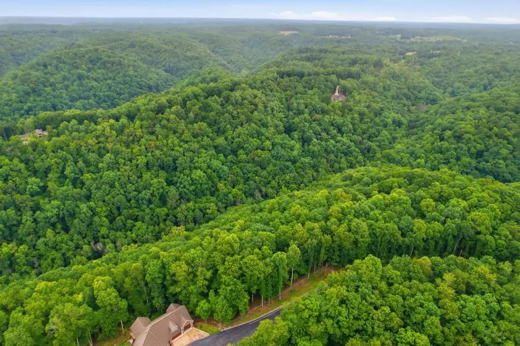 0 Serenity Ridge Rd, Sparta, TN 38583 - #1